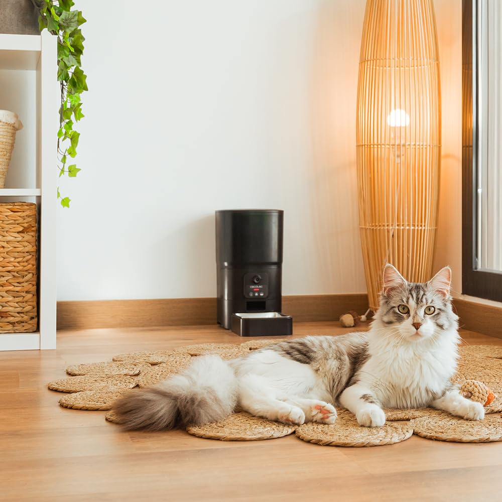 Cecotec Distributore Automatico Cibo Gatti e Cani Pumba 6000 Purrfect Meal Smart Vision. Controllo Wifi, Telecamera, Registratore Vocale, 6L, Controllo delle Porzioni, Allarme, Ciotola in Acciaio Inox