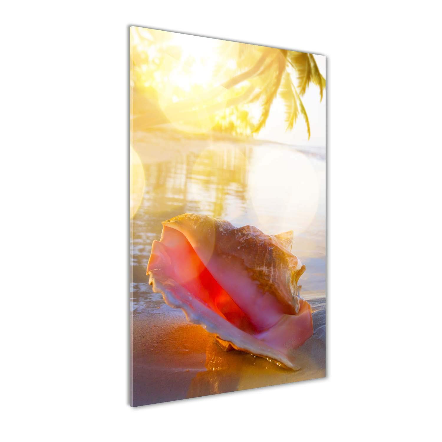 Image sur verre acrylique de plage et coquillage bleu pour sublimer le mur de votre salon