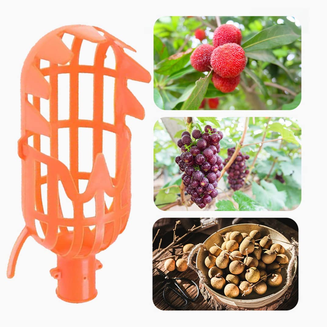 Strumento raccoglifrutta, 2 Pezzi raccogli Facilmente Frutta, Pratica raccoglitrice per Arance, Piccoli Frutti, Senza Asta