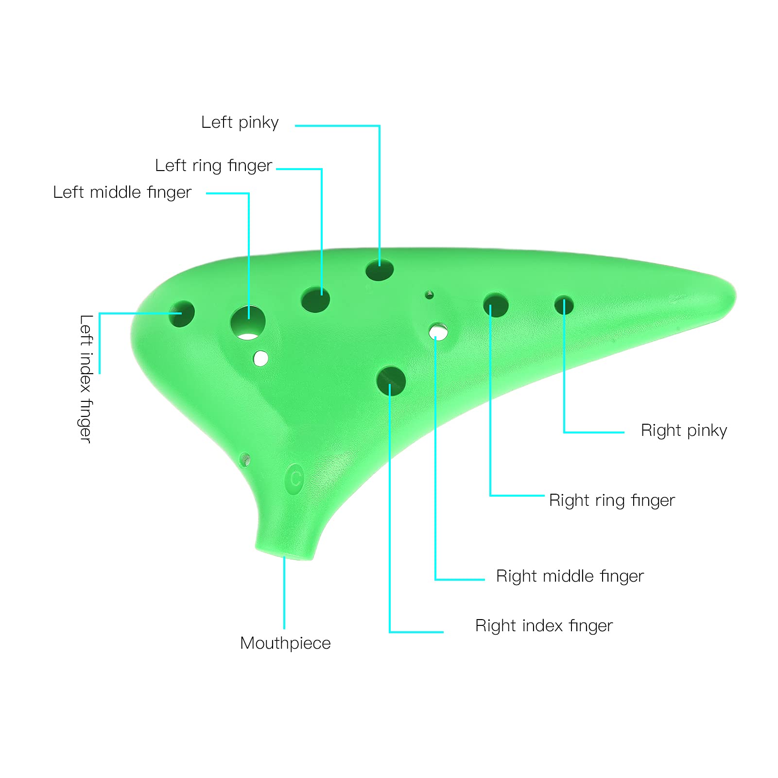 Ocarina ABS C Tune Instrument de Musique 12 Trous pour Adultes Enfants Apprenants Professionnels Confortable à Tenir et à Jouer Instrument de Musique Idée (vert)