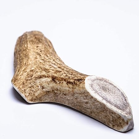 will dawn dish soap kill fleas