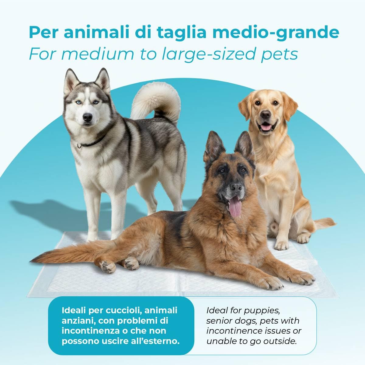 Centrovete - PipiPopo Tappetini Igienici Assorbenti Monouso - Per Cani e Gatti - Traversine con Design a 5 Strati - Angoli Adesivi e Neutralizzazione degli Odori - 1 Confezione da 100 Pezzi - 60x90cm