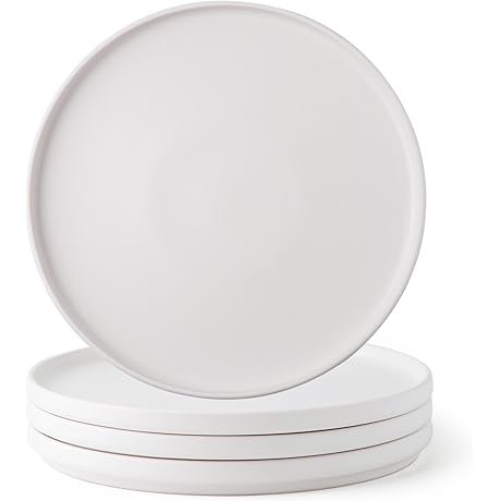 AmorArc 8 Inch Ceramic Salad Plates Set of 8