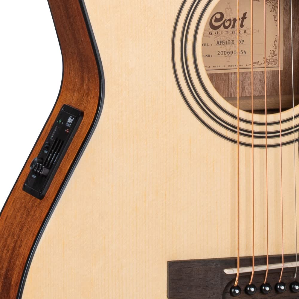 Cort AF510 美品美音 スタンド他付属