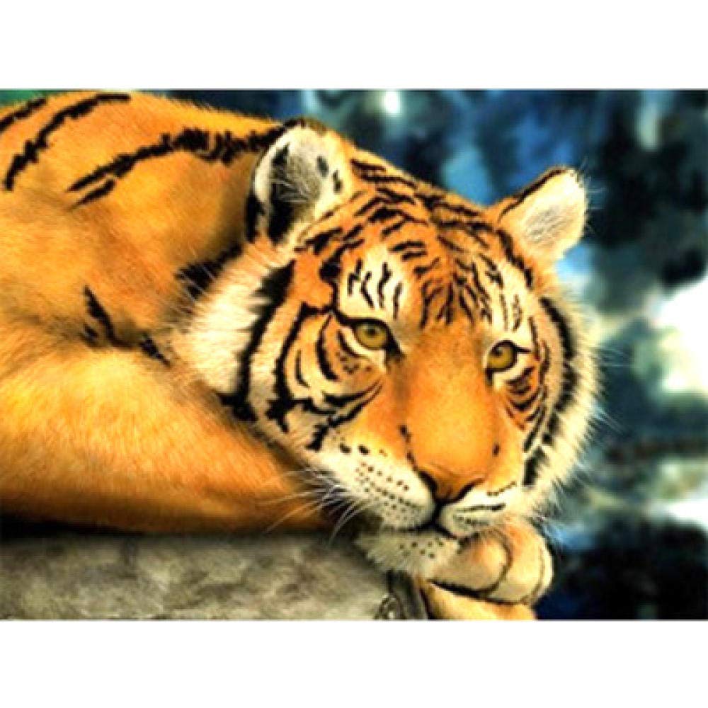 Peinture diamant 5D tigre broderie diamants carrés 30x40cm