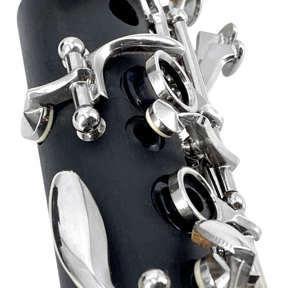 プロフェッショナルニューアドバンスCキー クラリネット エボナイト Amazon | YoungMonic プロフェッショナルニューアドバンスCキー