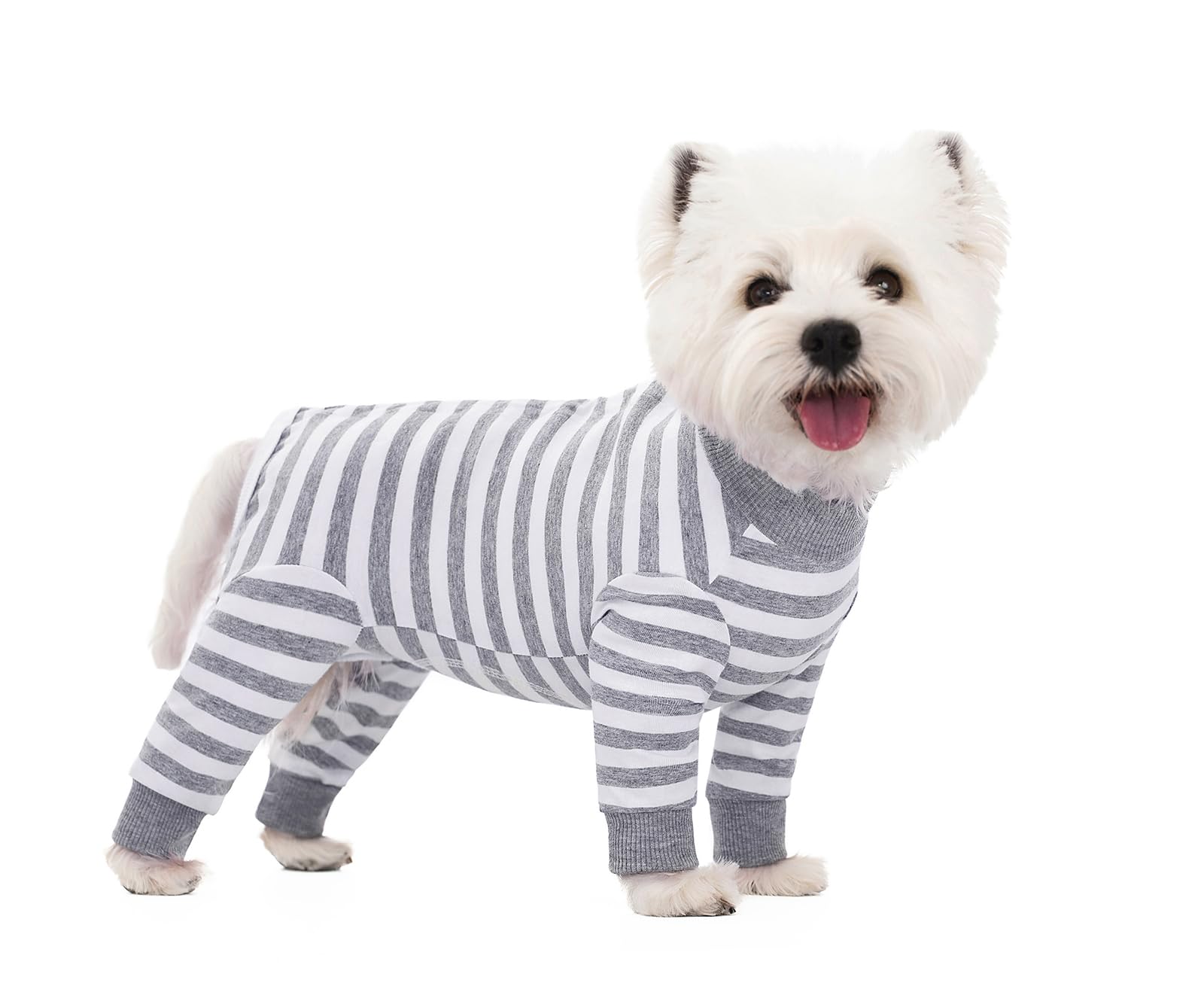 BT Bear Dog Recovery Suit,Elastic Puppy Small Dogs After Surgery Onesie Protect Joints Anti Licking for Female Male Dogs,Pets Pajamas PJS Bodysuit for Cats Small Medium Dogs,Grey XXL
