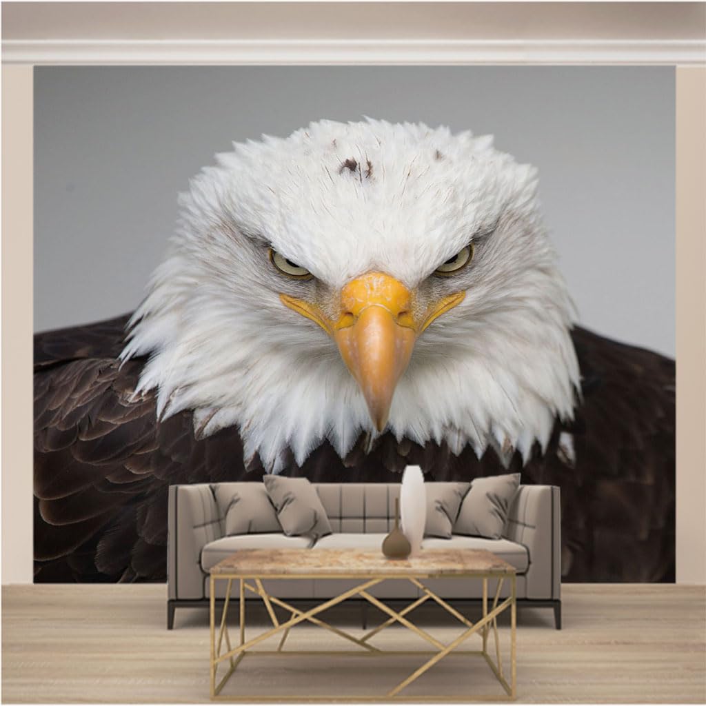 Papier peint panoramique trompe l'oeil 3d aigle haut de gamme