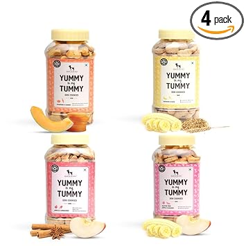 Combo of Apple and Cinnamon Dog Biscuits,Pumpkin and Carrots,Banana and Oats,Apple and Banana Vegetarian Dog Biscuits - Combo of 4