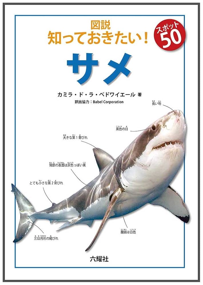 Amazon.co.jp: 図説知っておきたい!スポット50サメ : カミラ ド