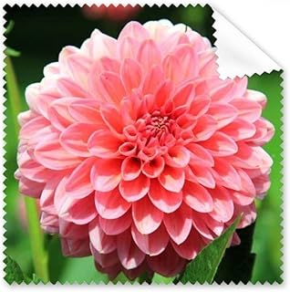 Peach Blossom Beautiful Flowers Cleaning Cloth Phone Screen Glasses Cleaner 5pcs