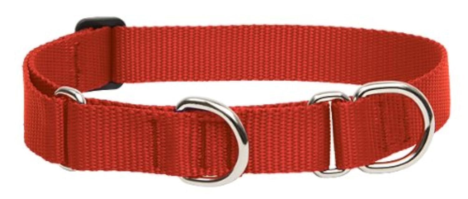 LupinePet Basics Martingale Collar