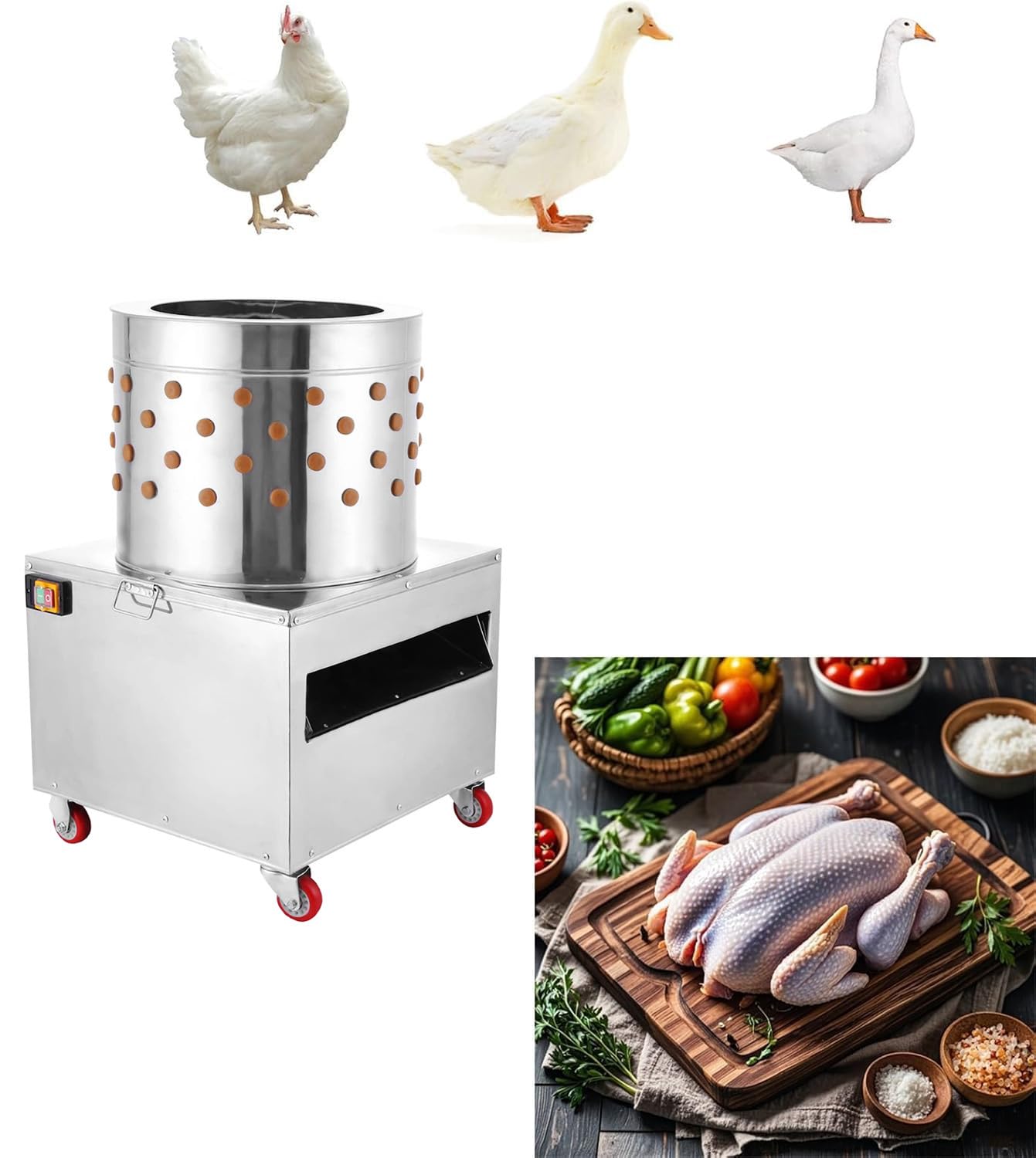 Rupfmaschine für Geflügel aus Edelstahl, 1500 W Leistung, Ø50cm Trommel, Rupfmaschine Enten, Nassrupfmaschine, Kaltwasseranschluss, Auswurfrutsche, für 2-4 Hühner
