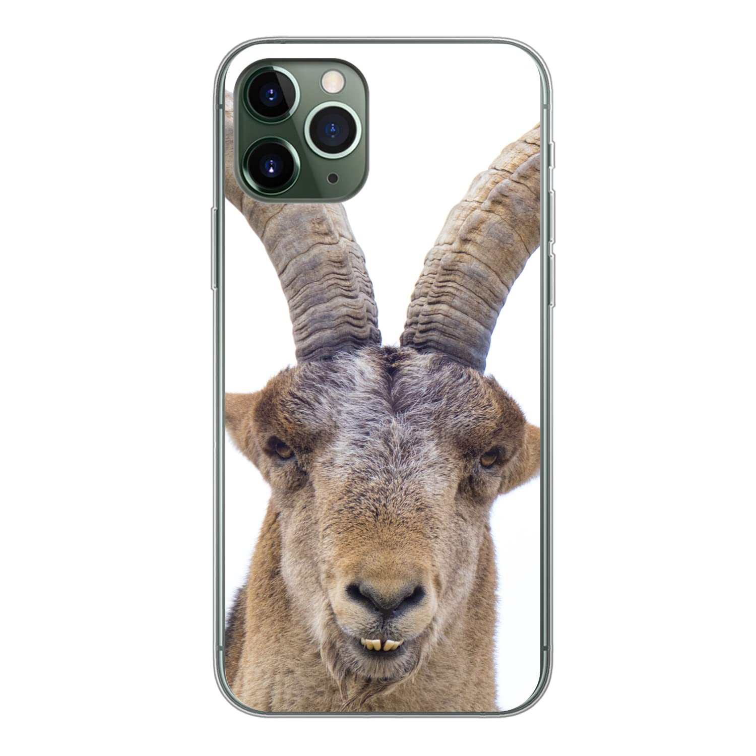 MuchoWow Funda para iPhone 11 Pro - Capricornio - Animales - Hoorn - Funda de Silicona/Funda Blanda para teléfono móvil