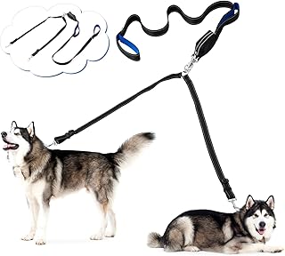 Libbipaw Double Dog Leash with Pet Waste Bag Dispenser,Double Handle Dual Dog Leash for Large Dog Up to 180Lbs,2 Dog Leash Tangle Free for Small Dog,Dog Training Leash with Adjustable Reflective Lead