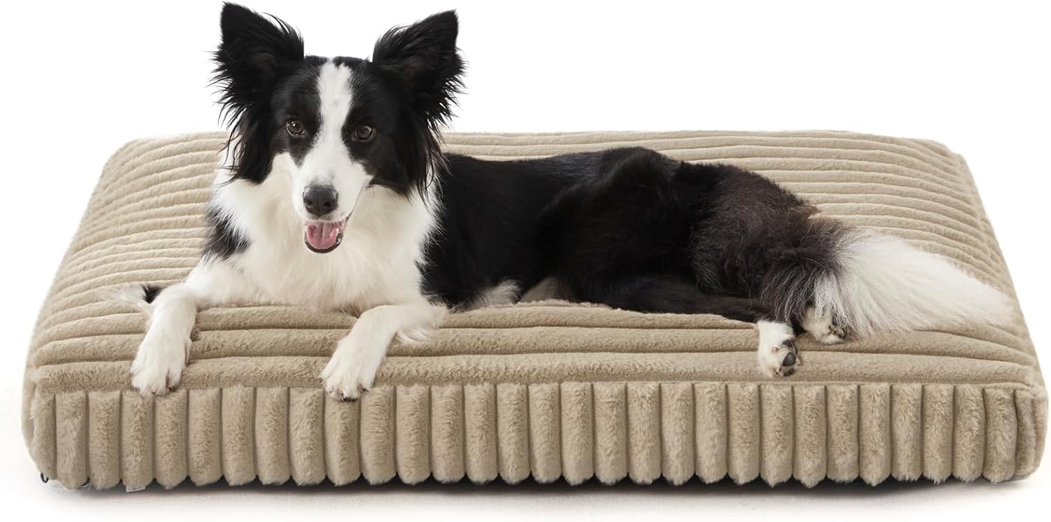 Dog Beds Large Sized Dog, Flat Pet Beds with Removable Washable Cover, Pet Mat Cute Pet Crate Bed Thick Shredded Chopped Crate Foam & Anti Slip Bottom for Indoor, 35"x23"x4" Beige L(35"x23"x4") Beige