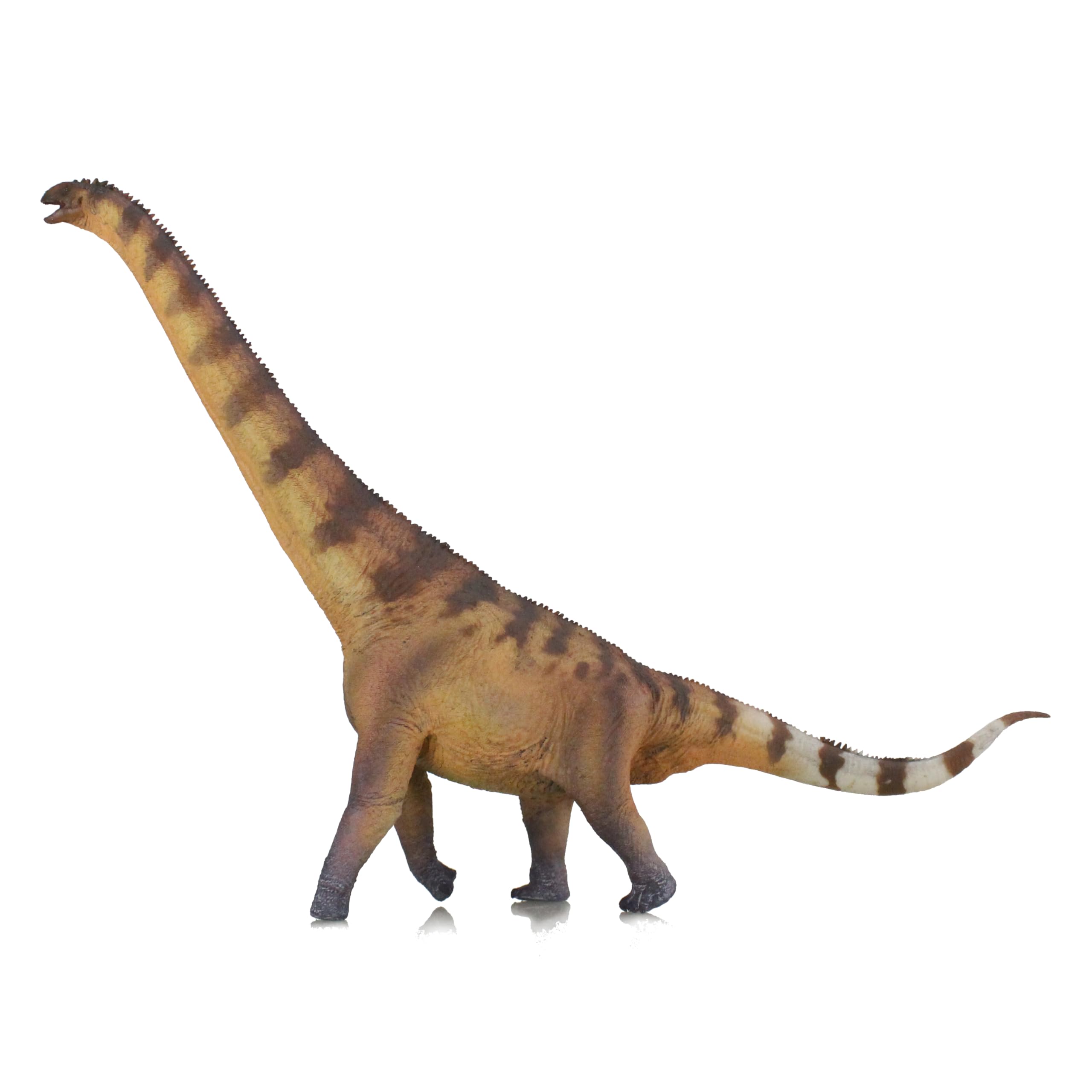 HAOLONGGOOD New Euhelops 1：35 Science and Art Model (Jiang Jing)