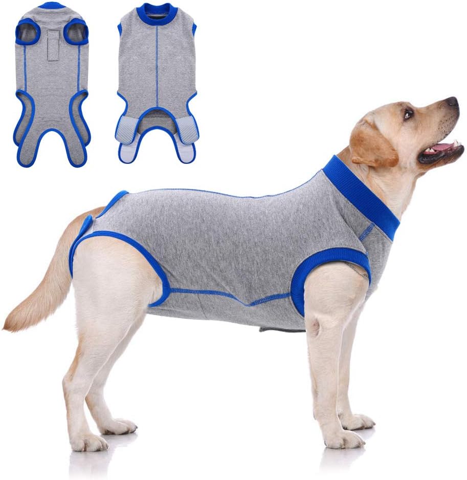 PUMYPOREITY Recovery Suit for Dog Cat After Surgery Wear, Male Female Dog Cone E-Collar Alternative, Professional Recovery Costume for Puppy Kitten Abdominal Wound Skin Damage Weaning Post- Operative
