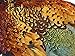Moonlight Feather | 1 Piece - Complete Natural Ringneck Pheasant Skin Pelt Without Wing And Tails (Bulk) Fly Tying, Dog Training