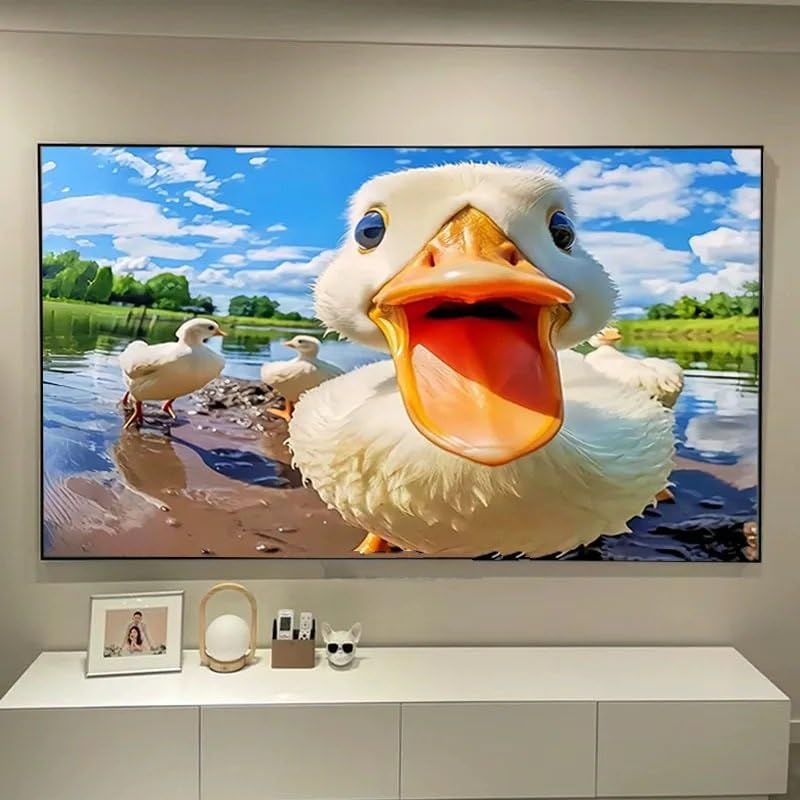 Pantalla de proyector fija ALR 100 pulgadas 16:9 miniatura 3