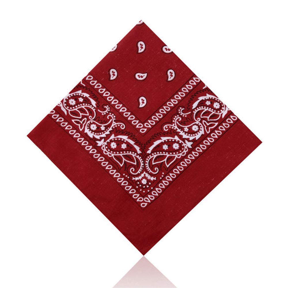 LizzyPaisley Multifunctional Bandana's Headwear Neckwear Neckerchief Cycling Cowboy Scarf Head Neck Gaiter - Mens Womens Multipack Assorted Men Hair Pirate Bandana