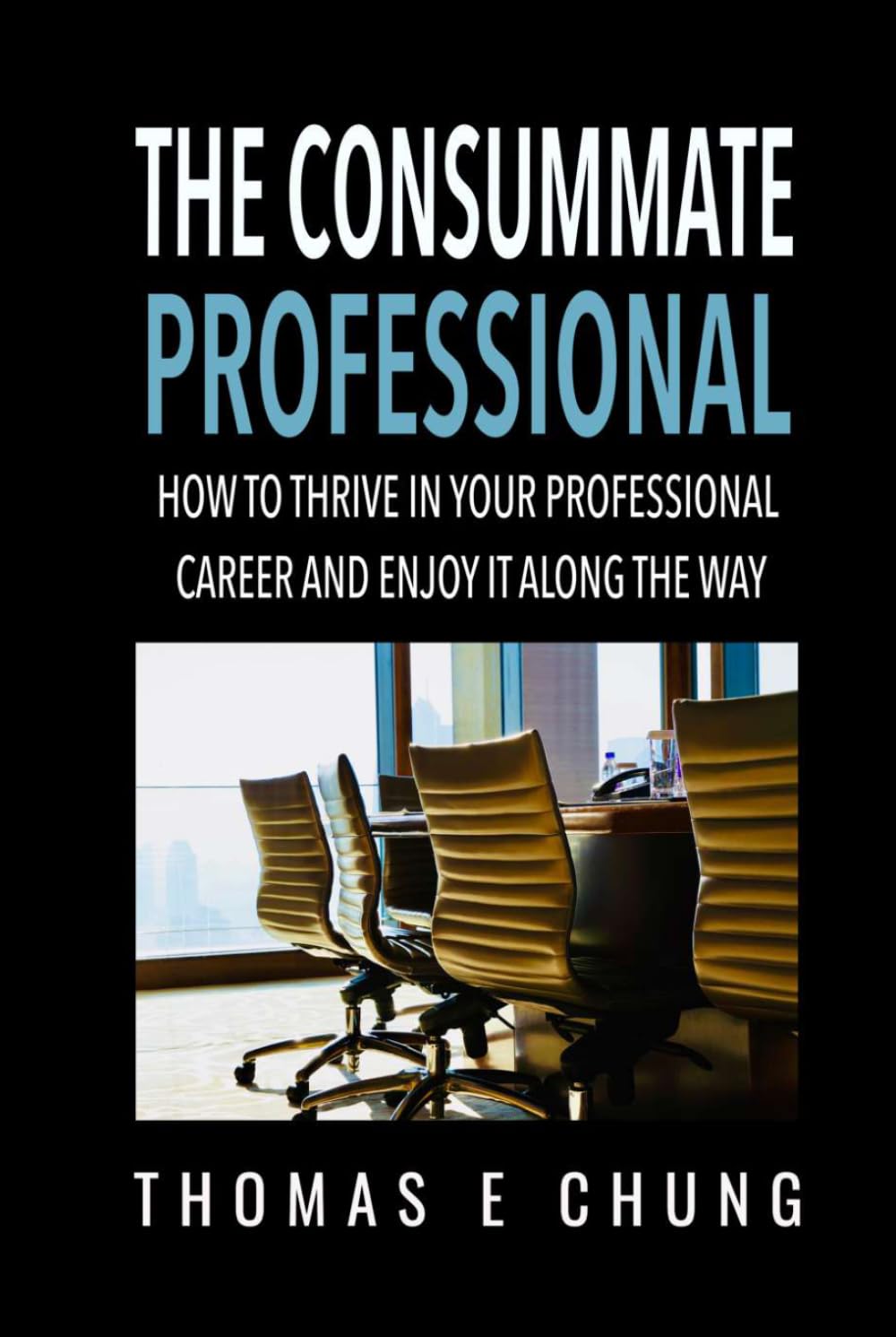 The Consummate Professional: How to Thrive in Your Professional Career and Enjoy It Along the Way