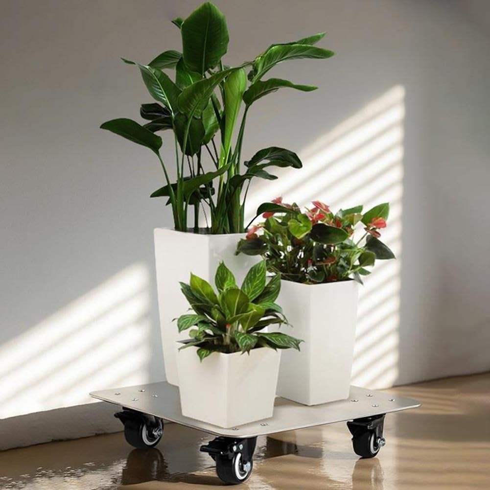 Support À roulettes Carré pour Plantes en Acier Inoxydable