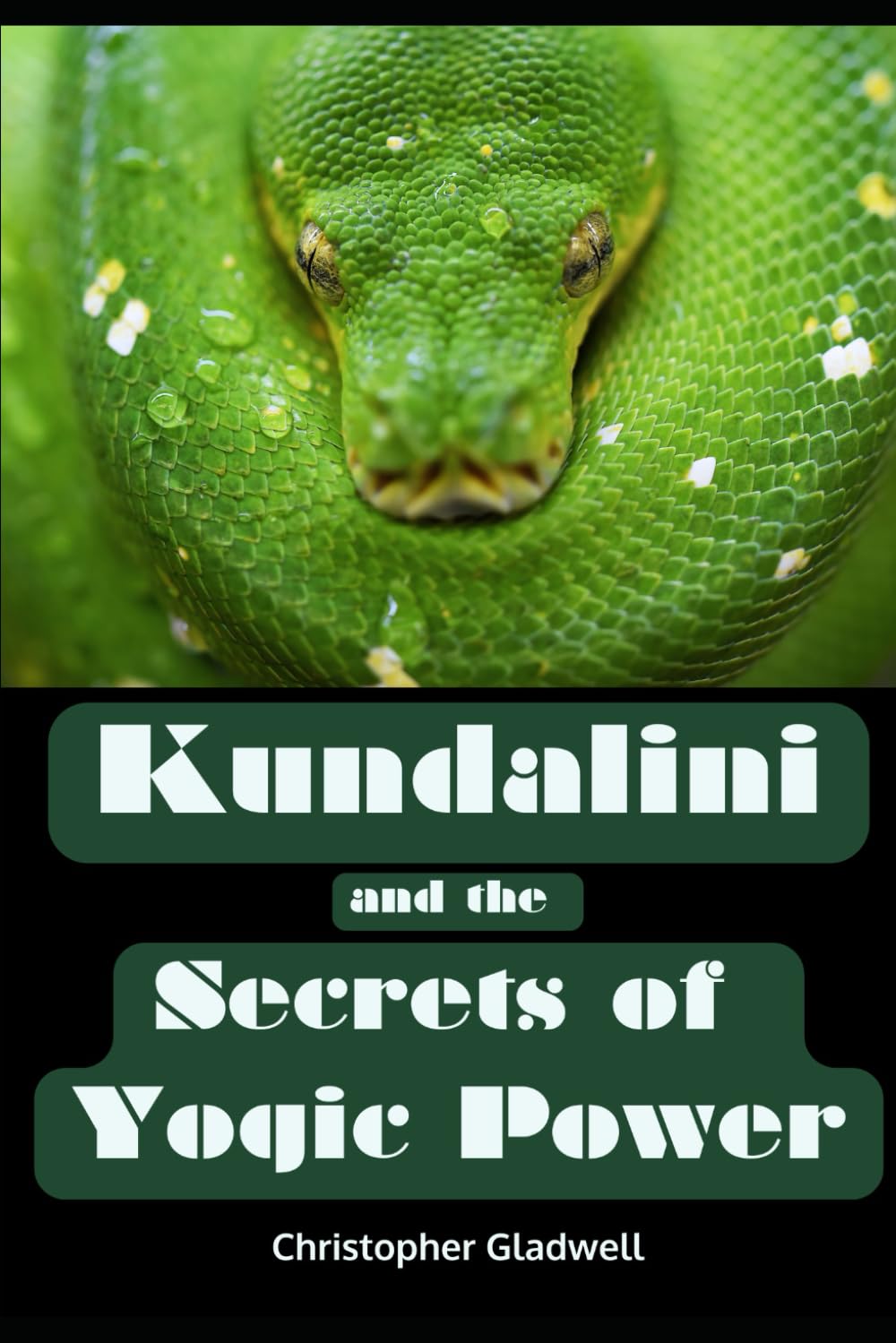 Kundalini and the Secrets of Yogic Power