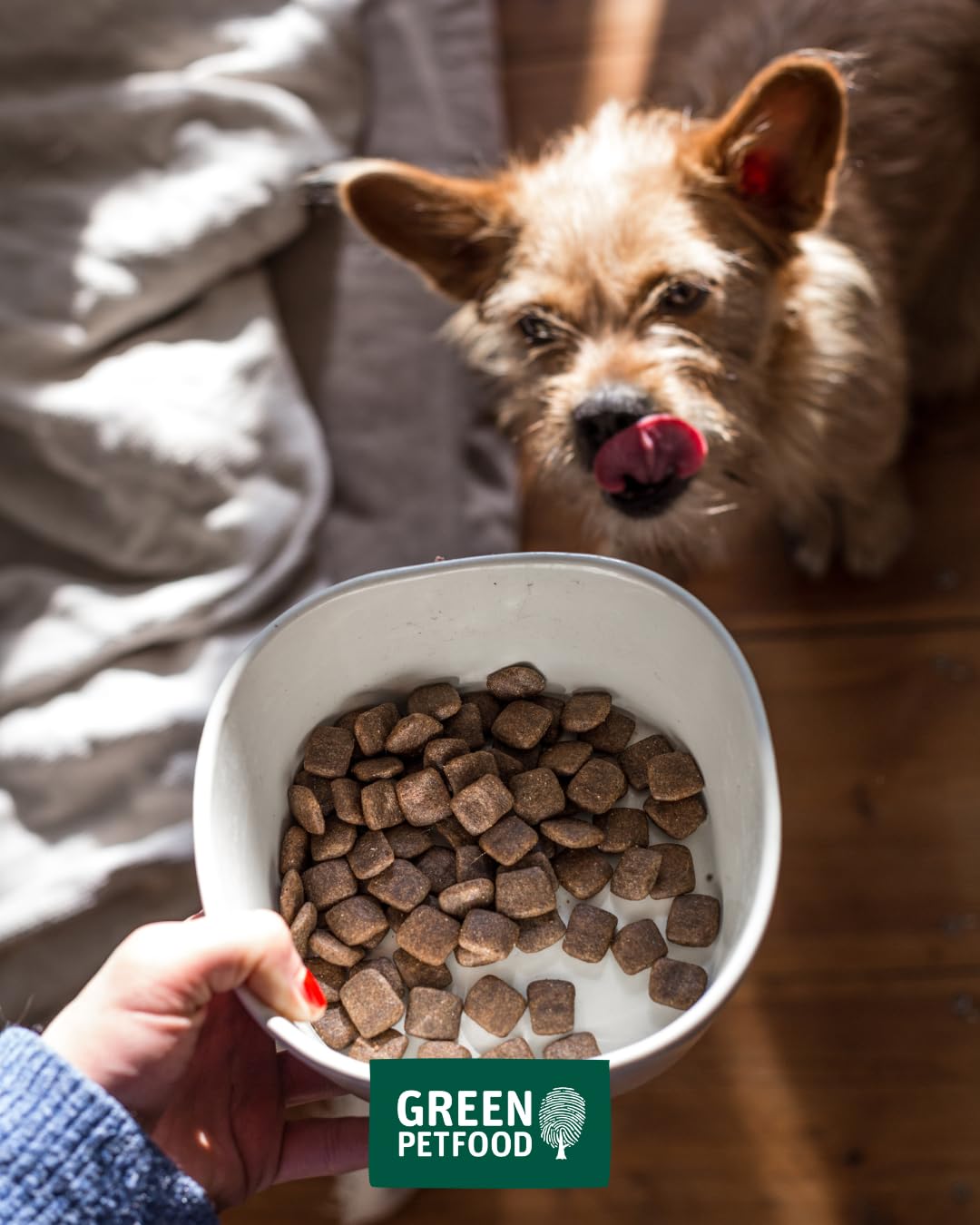 Green Petfood VeggieDog con Patata y Guisante (1 x 10 kg) | Adulto | alimento seco Premium para Perros Adultos sensibles | Vegetariano y sin Trigo | con Sabrosa Batata | 1 Pack