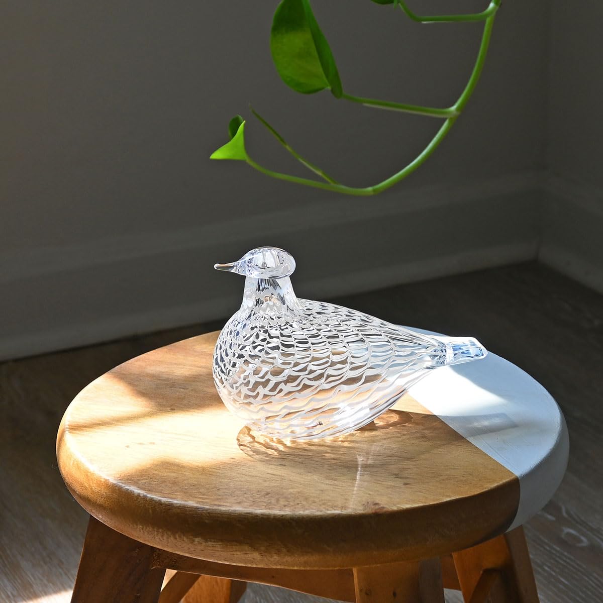 Amazon.com: Iittala, Brid Taube AA8by Toikka Mediator 160 x 110 mm