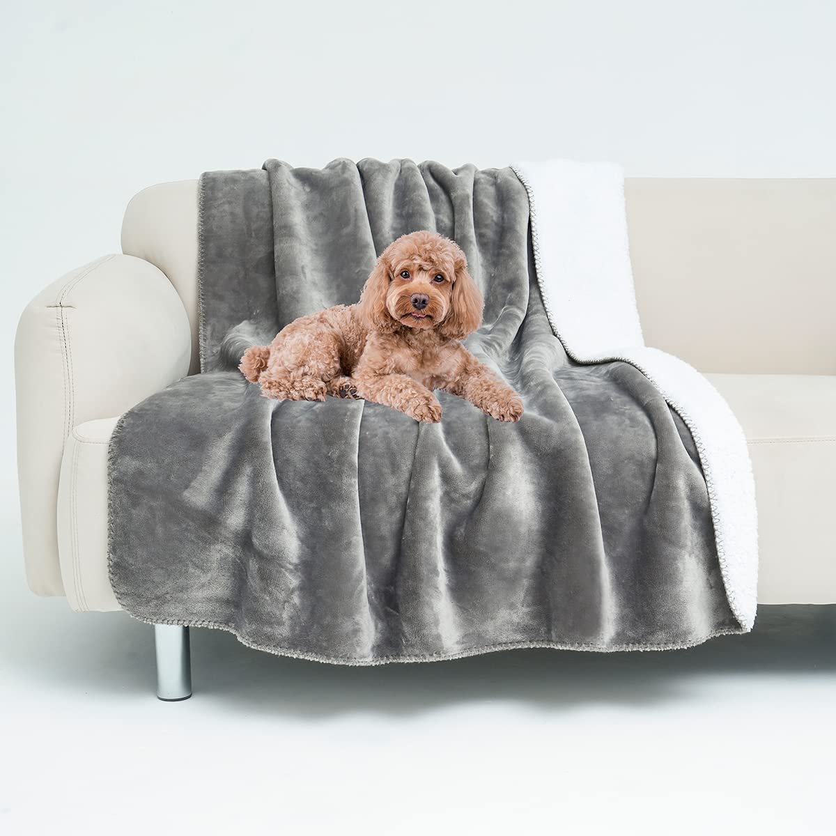 softhug Dog Blanket Waterproof Pet Blanket for Bed Couch Sofa Car, Super Soft and Warm Puppy Blanket for Dogs Puppies Cats, Fleece Sherpa Throw Furniture Protector 50" x60" Inches