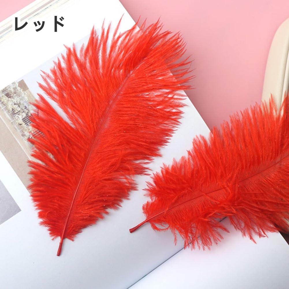 カーニバル衣装 レッド フェザー 純正ダチョウ羽 カーニバル衣装 レッド フェザー 純正ダチョウ羽