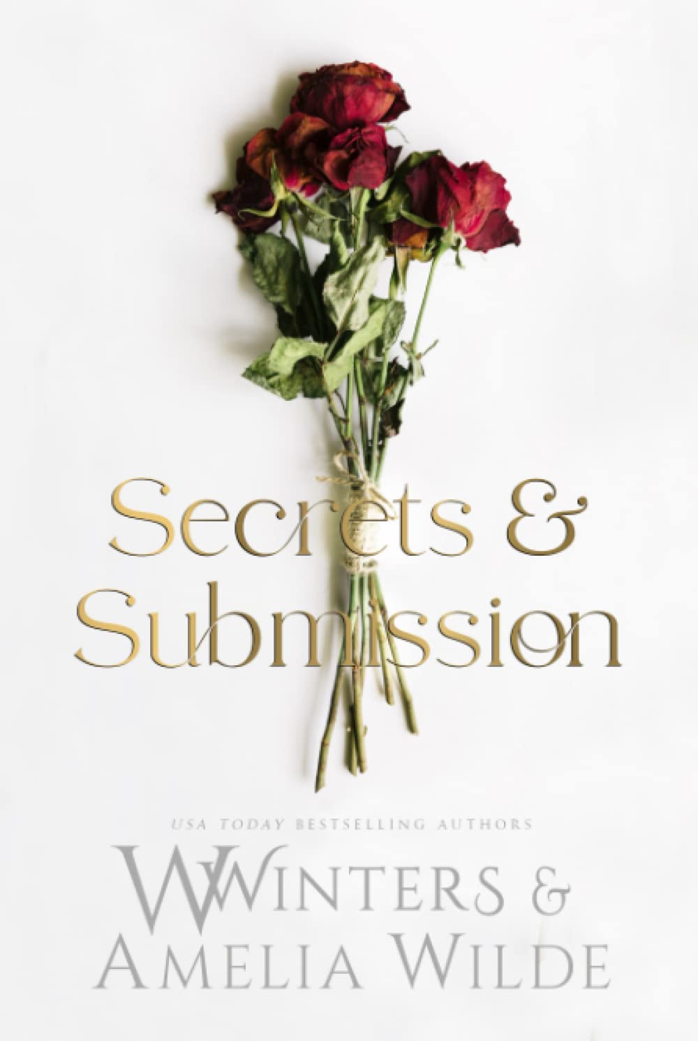 Secrets & Submission (Merciless World Series)