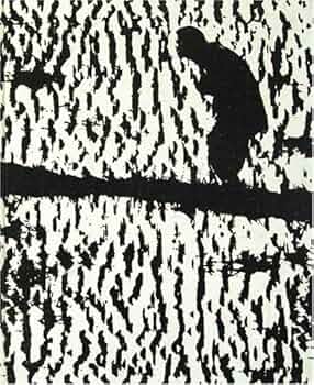 【Eikoh Hosoe: Kamaitachi】細江英公　新品未読品・美本 Eikoh Hosoe: Kamaitachi】細江英公 新品未読品・美本 鎌鼬 新装