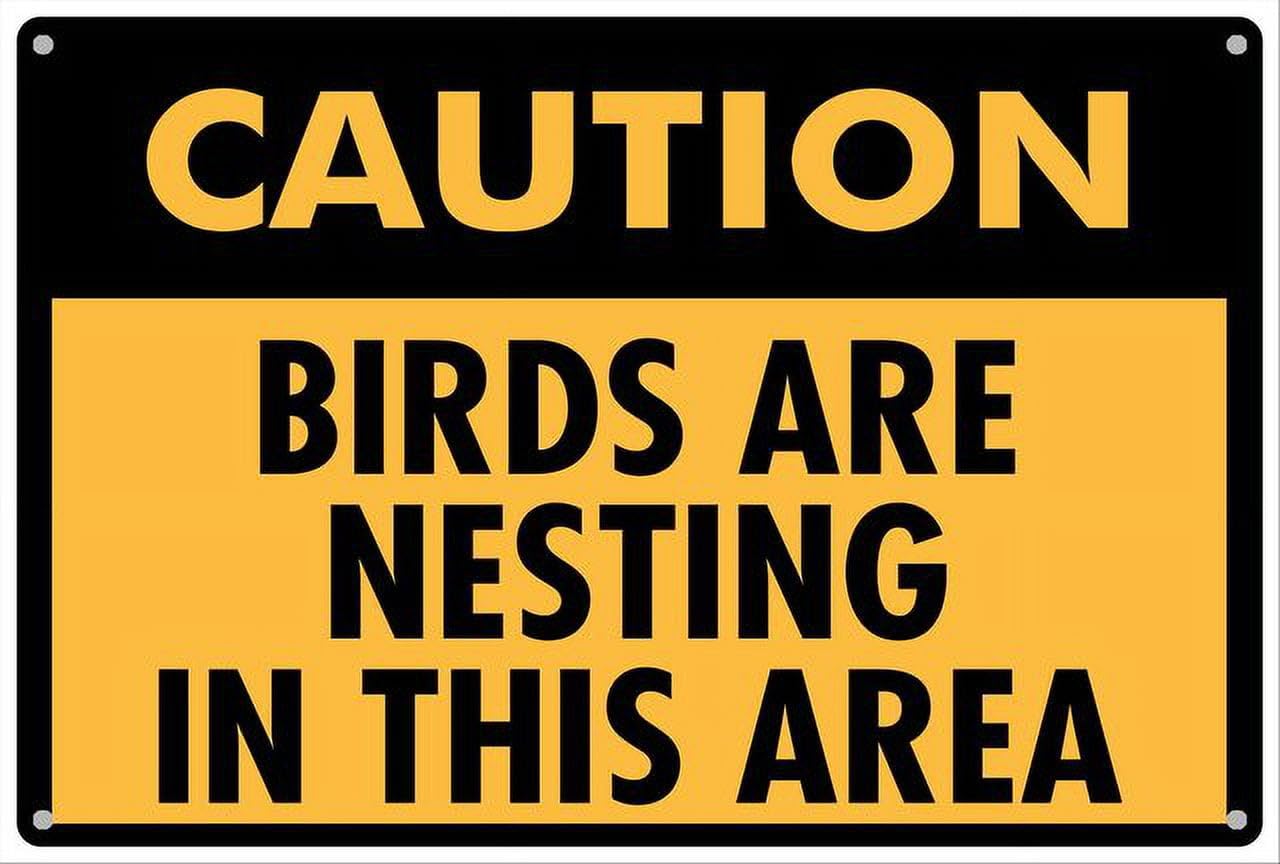 peiyeety Caution Birds are Nesting in This Area Aluminum Tin Sign for Home Kitchen Wall Decor 12X8Inch
