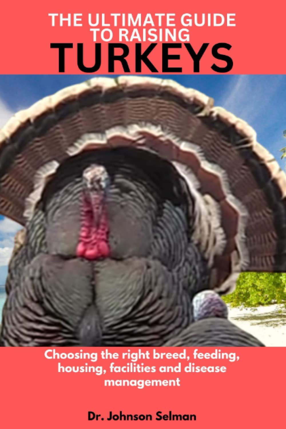 THE ULTIMATE GUIDE TO RAISING TURKEYS: Choosing the right breed, feeding, housing, facilities and disease management