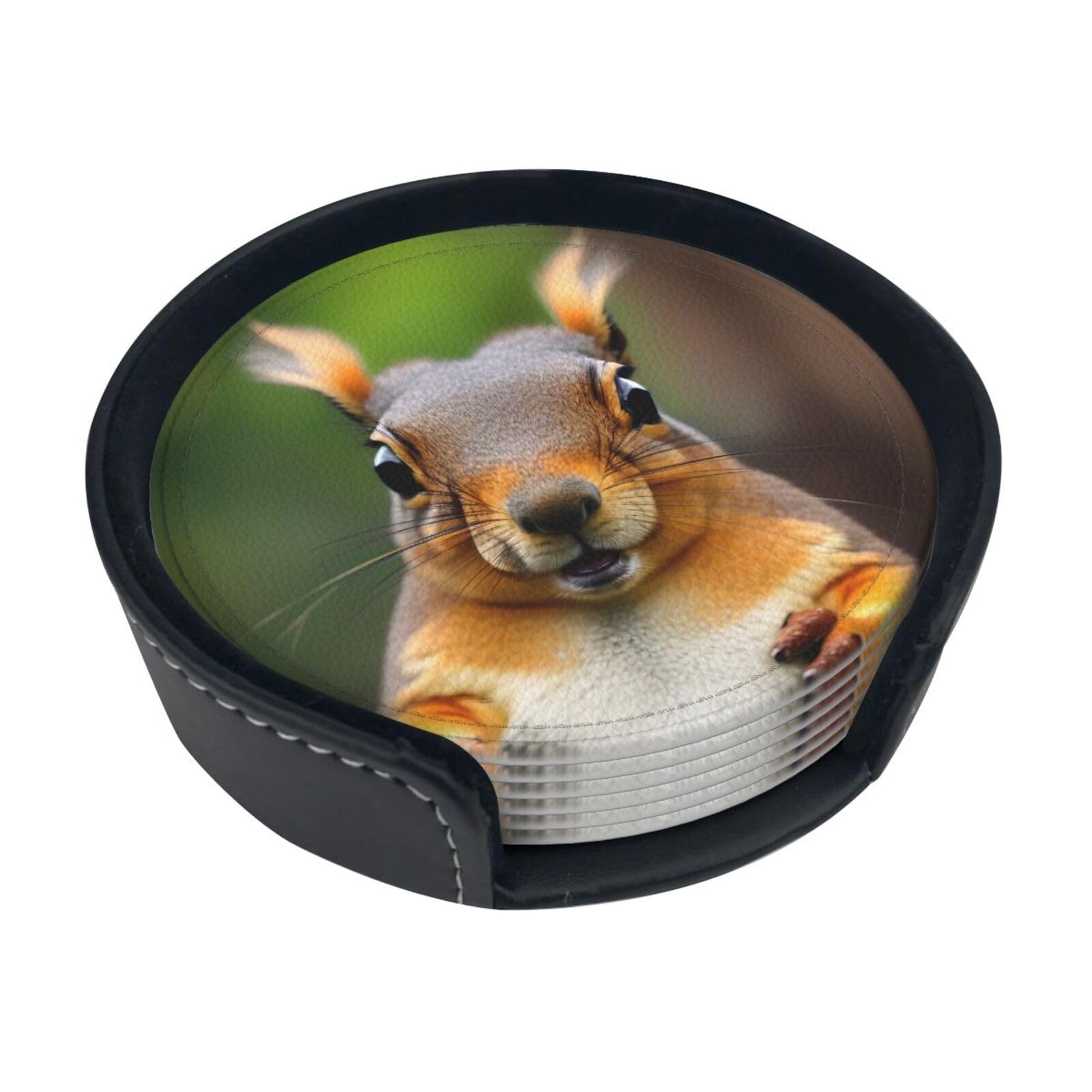 Squirrel Funny Animal Print Round Coasters Set Of 6,Coaster For Tabletop Protection Home Bar Decor