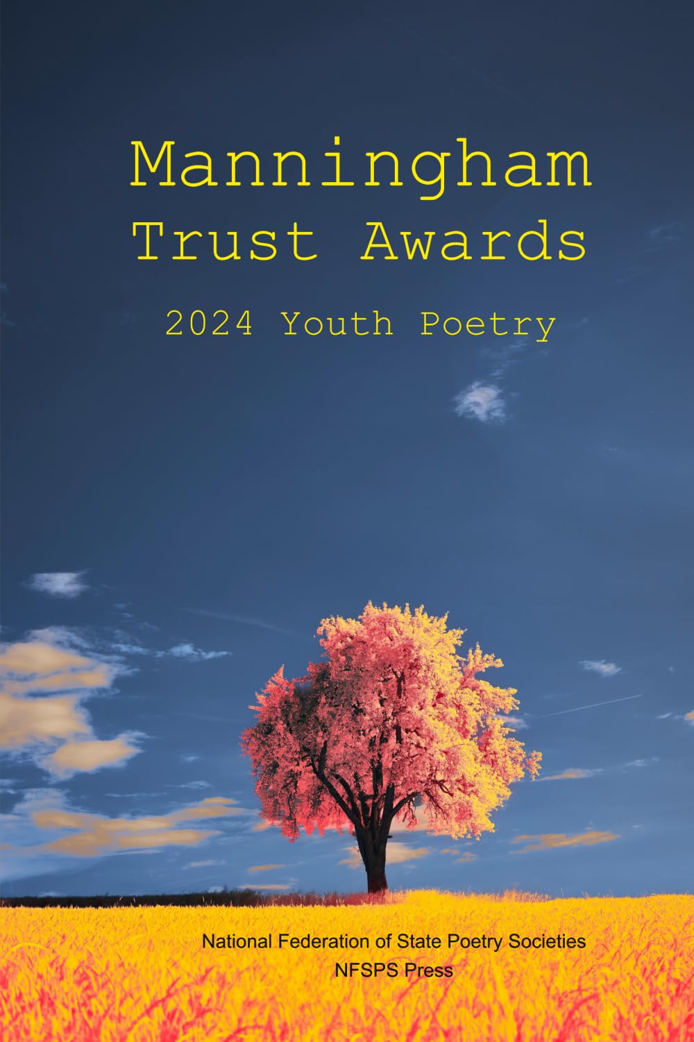 Manningham Trust Awards: 2024 Youth Poetry