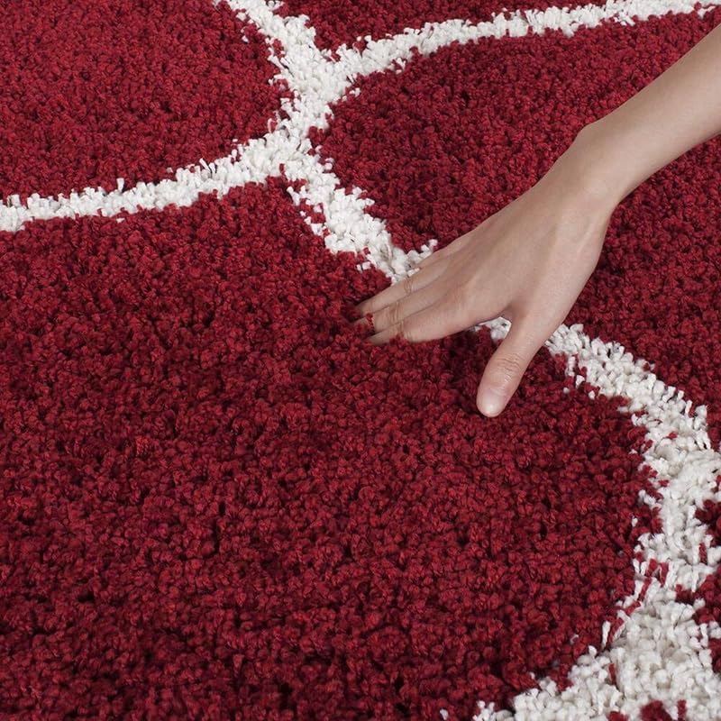 Image of Carpet for Living Room 5X7 FEET Modern Soft Shaggy Carpet Thick, Fluffy & 2 inch Pile Shag Rug for Your Kids Room, Bedroom & Livingroom (RED Moroccan)