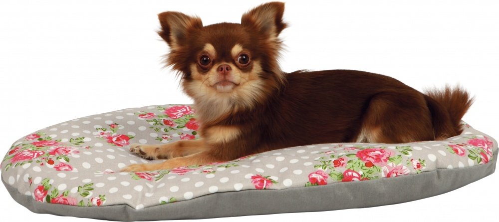 Trixie Rose Cushion, 54 x 35 cm, Taupe/White - Image 2