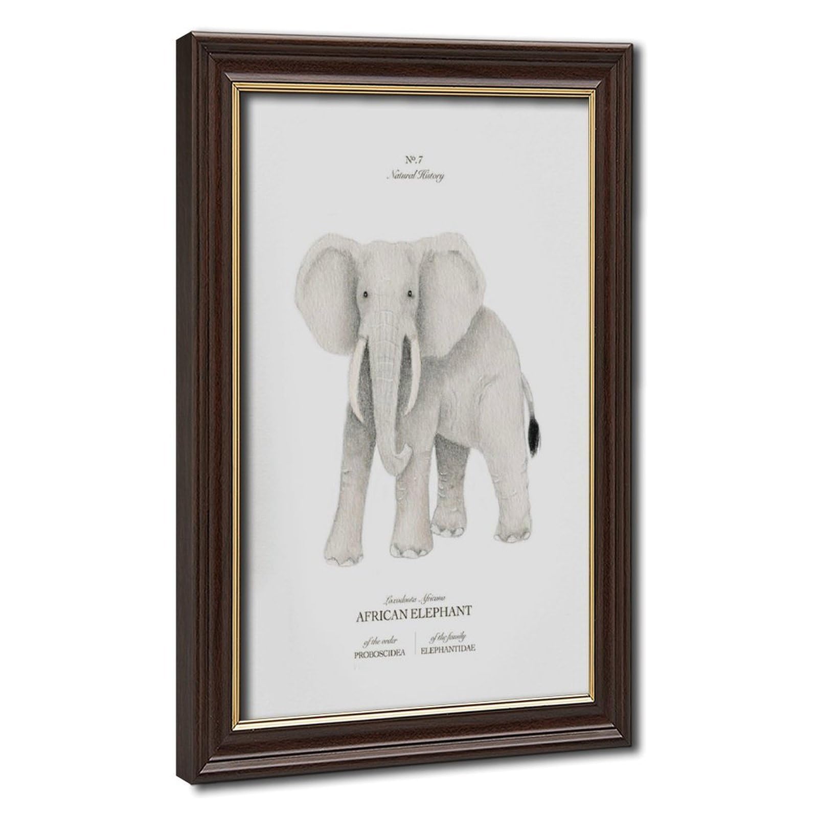 Bareronor African Elephant Poster Canvas Poster Bedroom Decor Landscape Office Room Decor Gift 16" L X 24" W