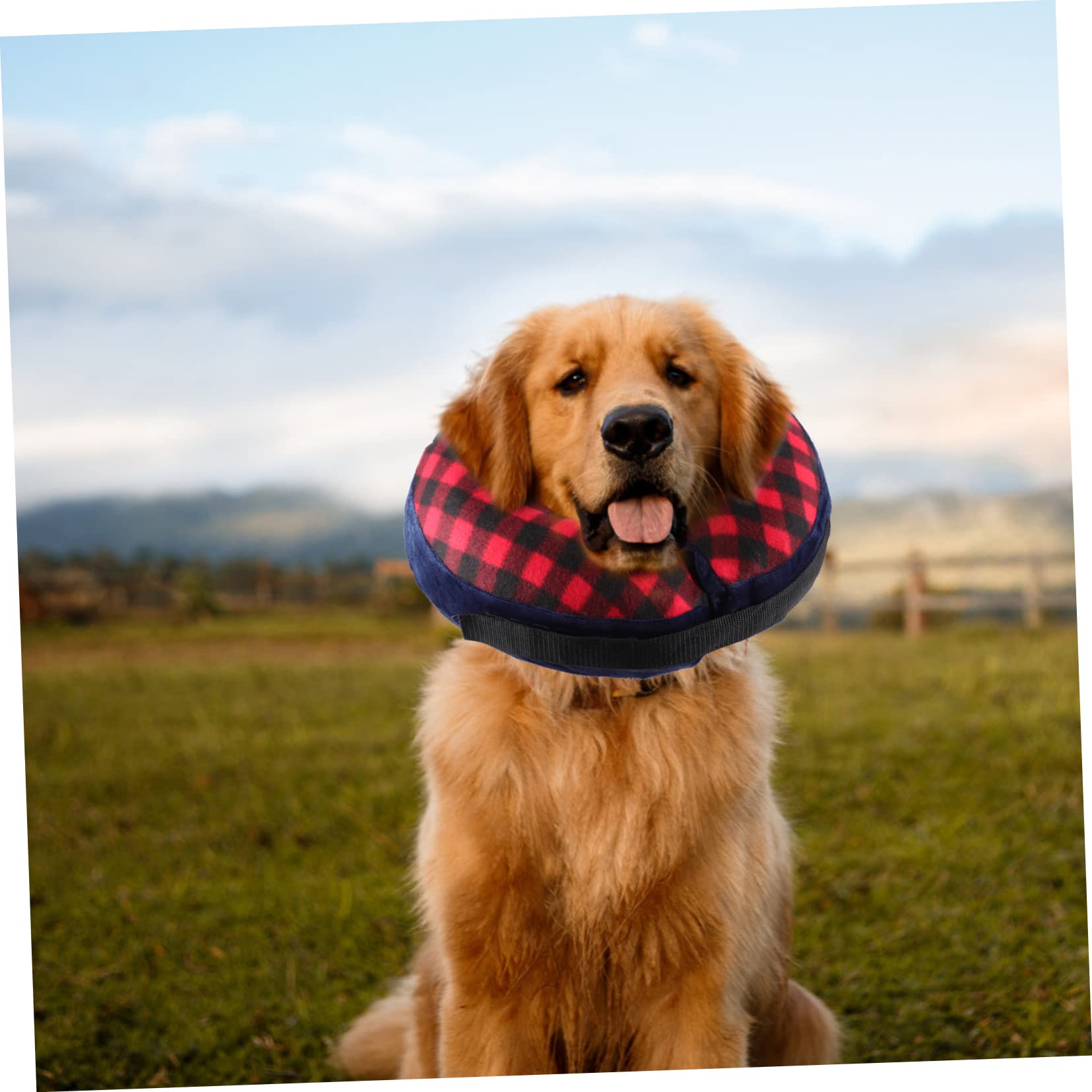 BESPORTBLE 2pezzi Collare Di Gonfiabile Per Gatti e Cani Collare Protettivo Per Comodo e Facile Da Indossare Per Guarigione Ferite e Post-operatoria Design Forma Di Donut