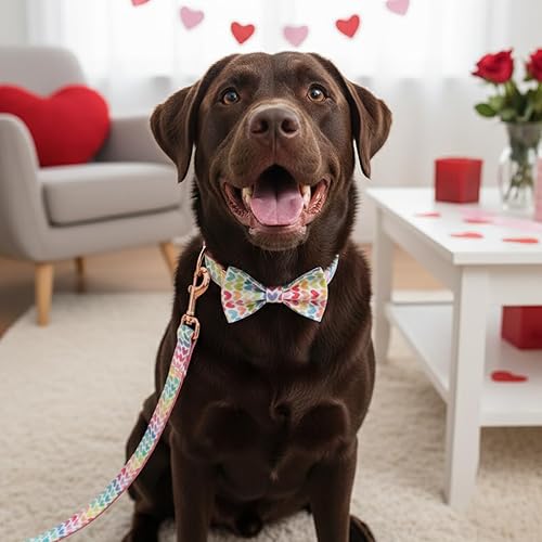 Miniatura 8 de PETDURO Collar de perro personalizado con nombre y teléfono grabado en hebilla de metal Personalizado para perros medianos y grandes Impresiones