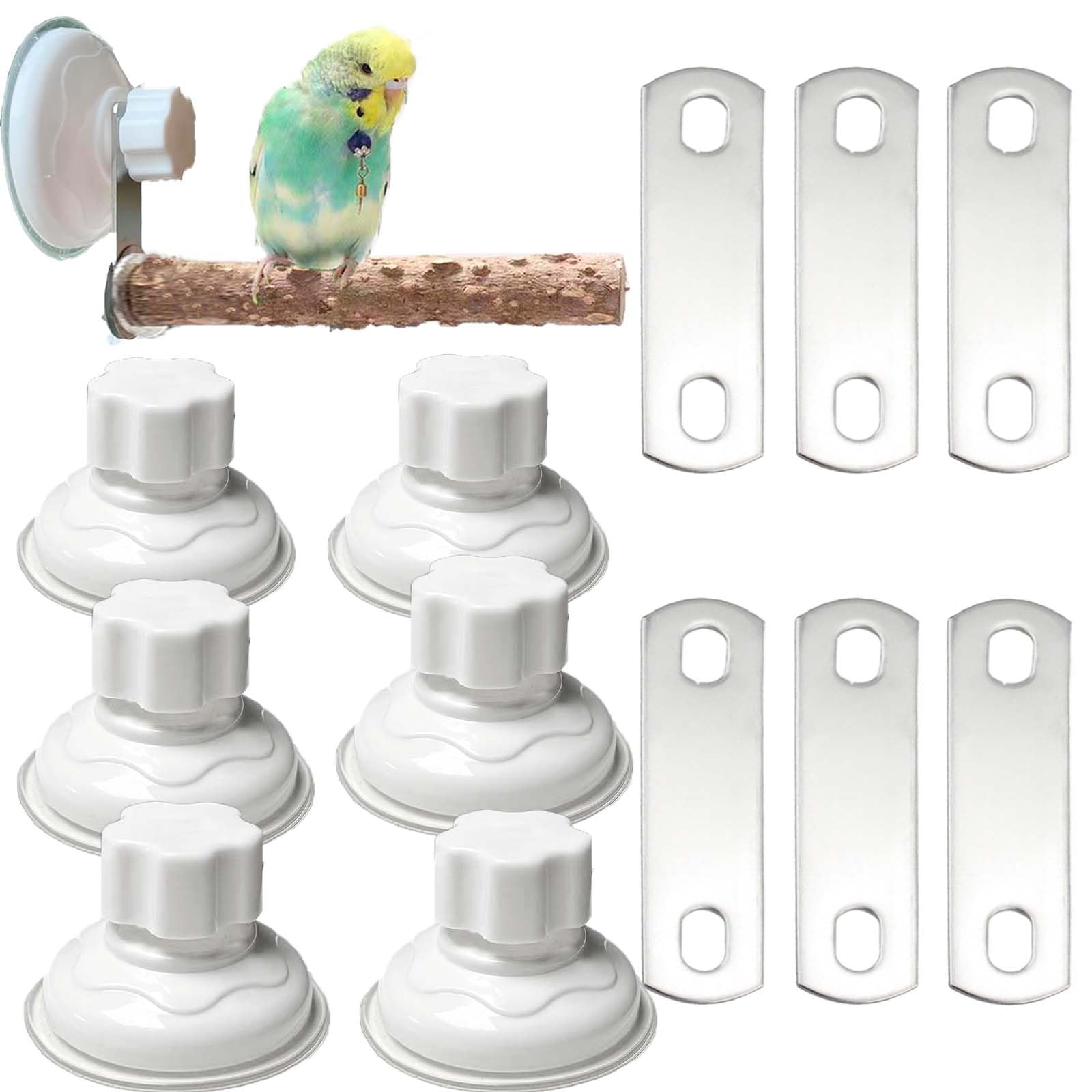 6 Pack Suction Cup Accessory Sets for Brid Perches Brid Stand Sticks Stand Toy Wood Platform for Parrot Parakeet Cockatiel Budgie Suction Cup for Window Bath Shower Car Travel Wall Outdoor Indoor