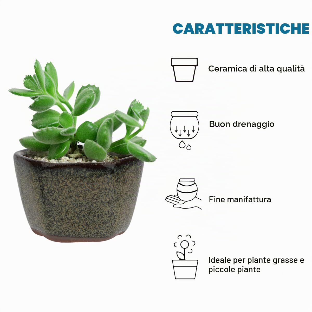 happy bonsai 20 mini vasi smaltati da 4,1 cm