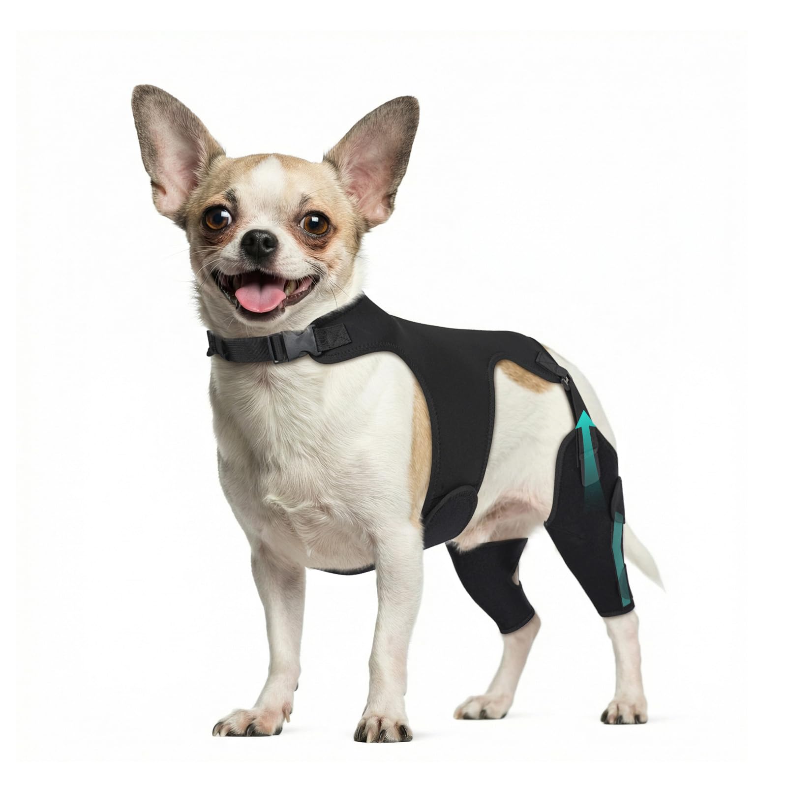 Photo 1 of Marnonsis Dog Knee Braces for Back Leg, Adjustable Leg Brace with 2 Stabilizers, Hip Support to Reduces Pain, Ligament Injuries, ACL CCL & Luxating Patella for Small Medium Large Dogs, M