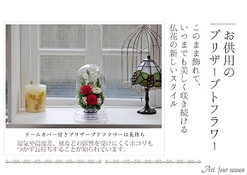 Amazon | アートフォーシーズン ○ お供え花プリザーブド