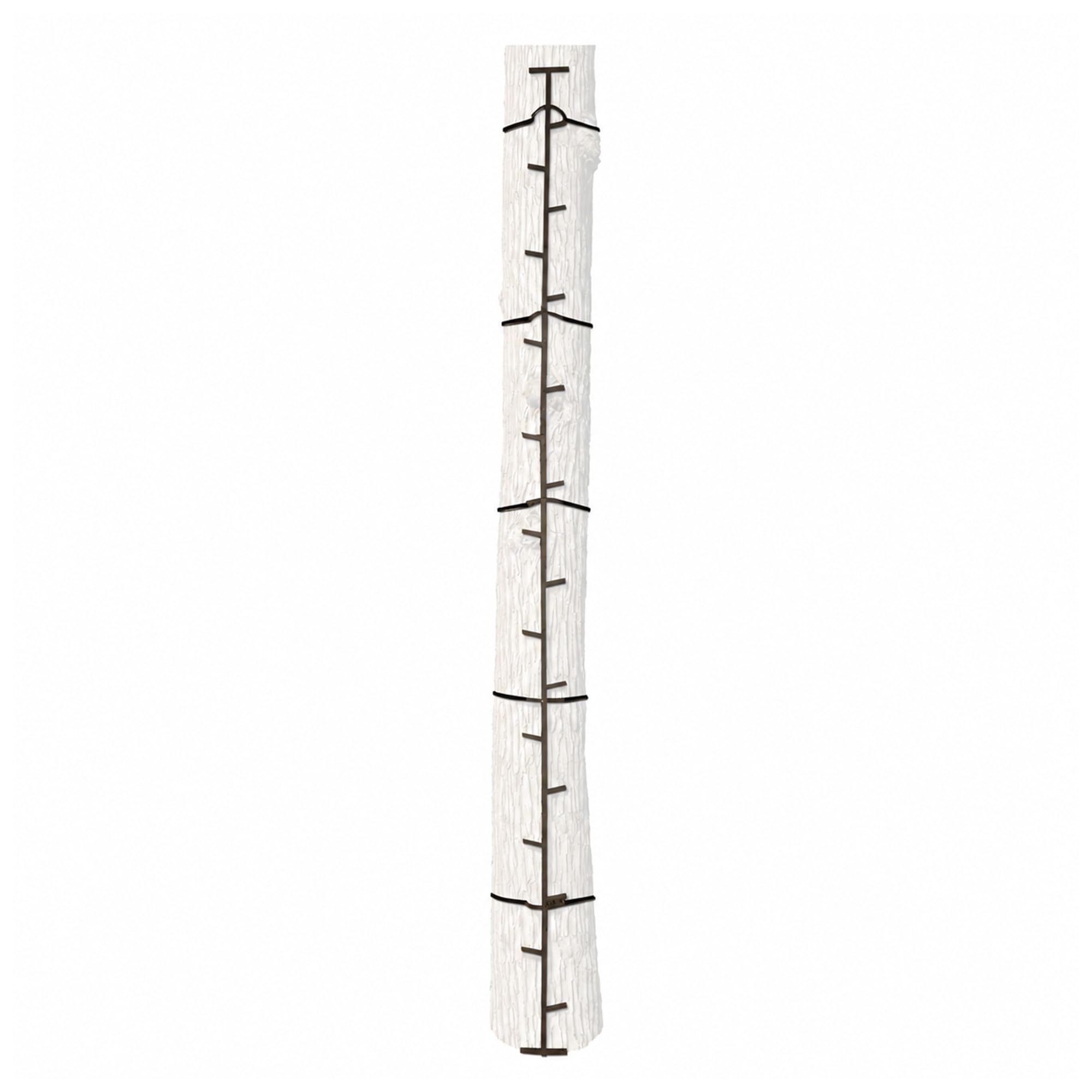 BIG GAME Climbing Ladder Sticks, Tree Stand and Hunting Gear System, 20' Quick-Stick