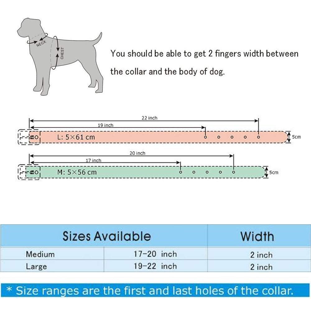 Amazon | Pimaodog スタッド付き犬の首輪、中型大型犬用レザー犬用首輪