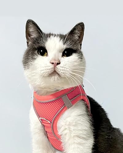 Vista 83 de Joytale arnés para perro, 12 colores, chaleco de malla transpirable, arnés acolchado suave reflectante para perros medianos, negro, XL.